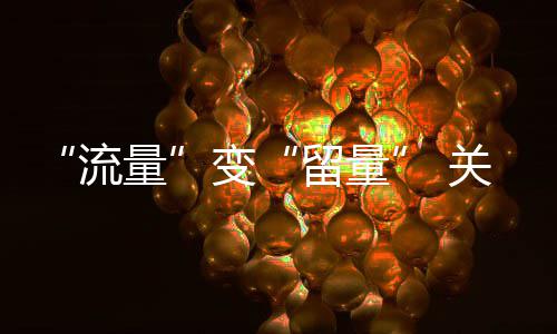 变务在服关键流量留量